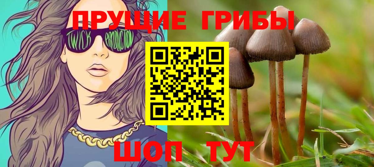 Псилоцибиновые грибы Magic Shrooms  Вход с VPN  Батайск 
